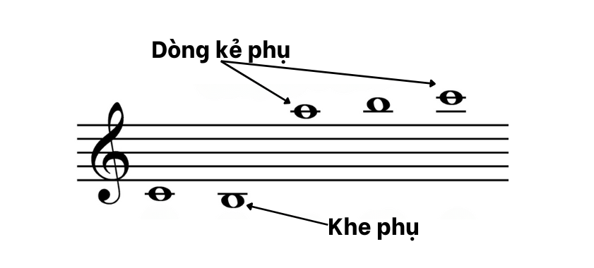 Dòng và khe dẻ phụ
